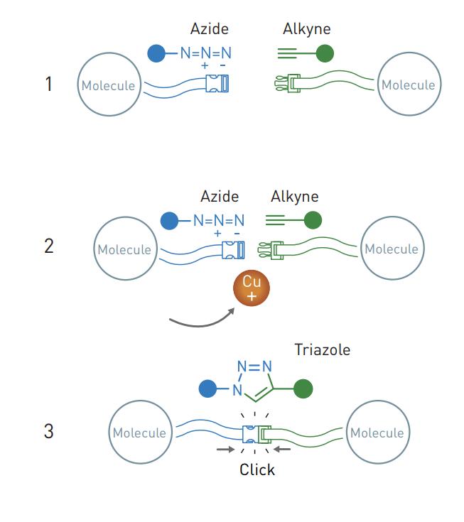 mansion88·明升(中国游)官方网站